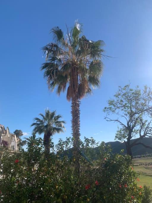 Cervantes 3 Mojacar Turre Kültér fotó