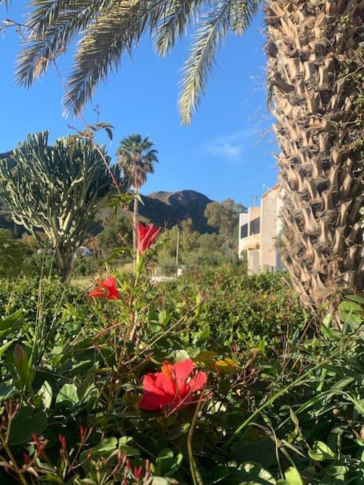 Cervantes 3 Mojacar Turre Kültér fotó